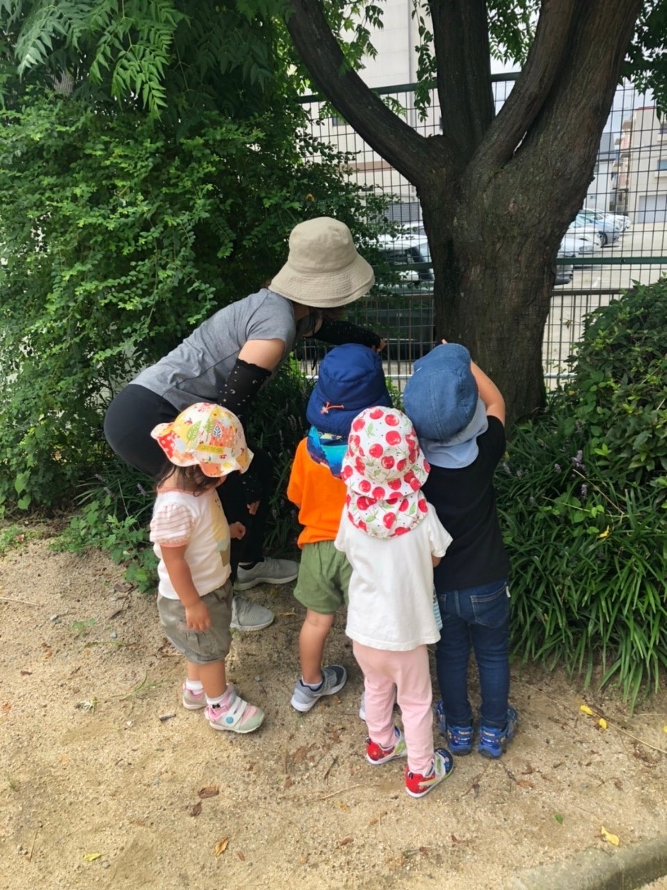 お散歩